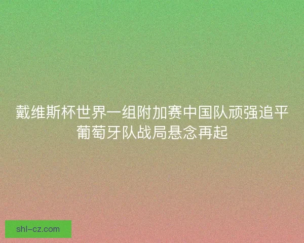 戴维斯杯世界一组附加赛中国队顽强追平葡萄牙队战局悬念再起