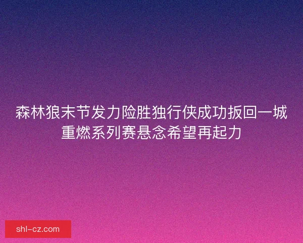 森林狼末节发力险胜独行侠成功扳回一城重燃系列赛悬念希望再起力