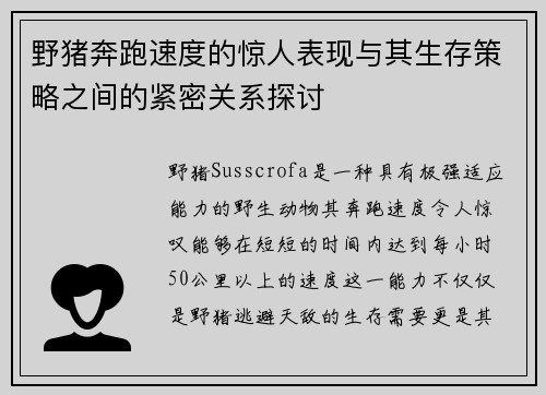野猪奔跑速度的惊人表现与其生存策略之间的紧密关系探讨